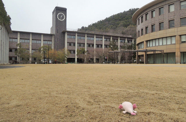 立命館大学衣笠キャンパスの全景