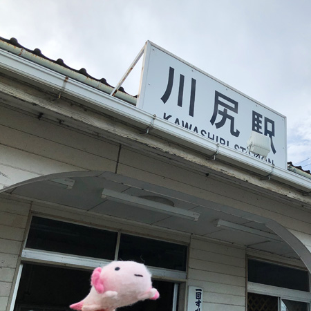 「ウパっちのお仕事見学」第10回は金剛株式会社を訪ねて再び熊本へ行ってきました