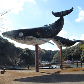 大阪から、クジラの町太地町へ。国際鯨類施設を訪ねて。