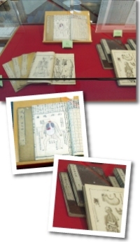 展示の様子