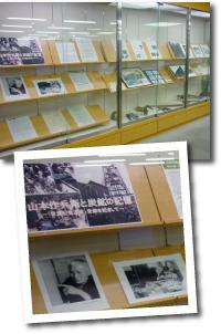 展示の様子