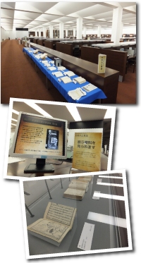 展示の様子