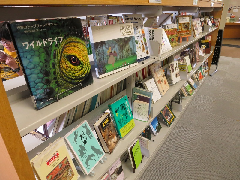 展示の様子