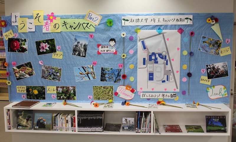 展示の様子