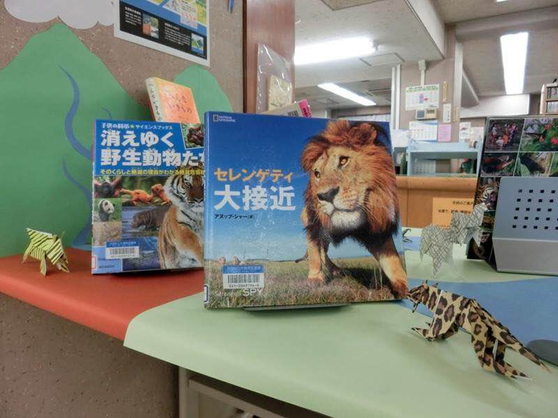 展示資料の一部