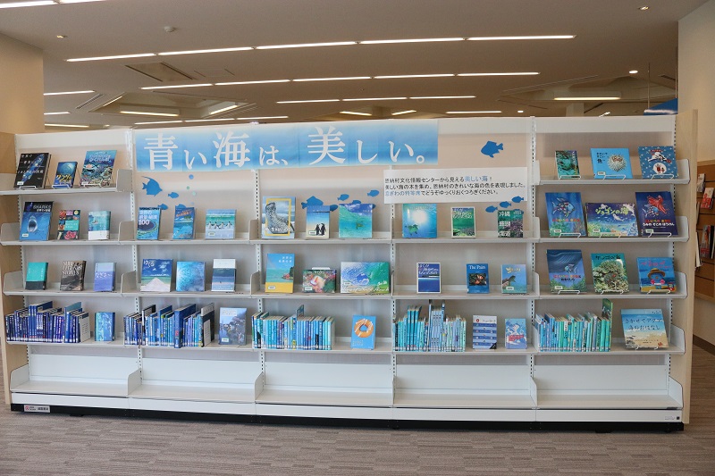 展示の様子