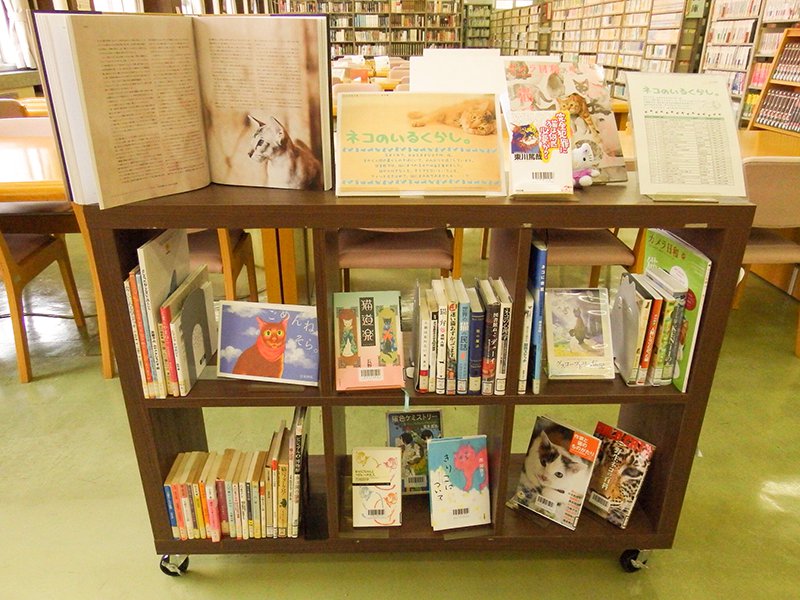 展示の様子