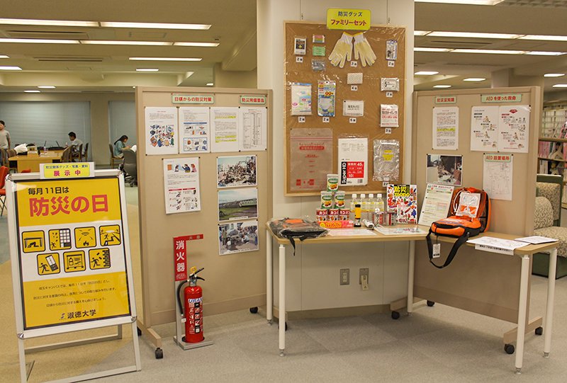 展示の様子