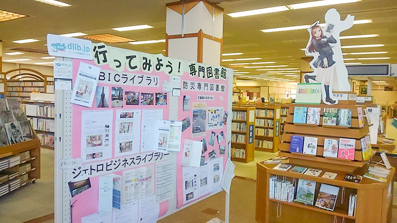展示の様子