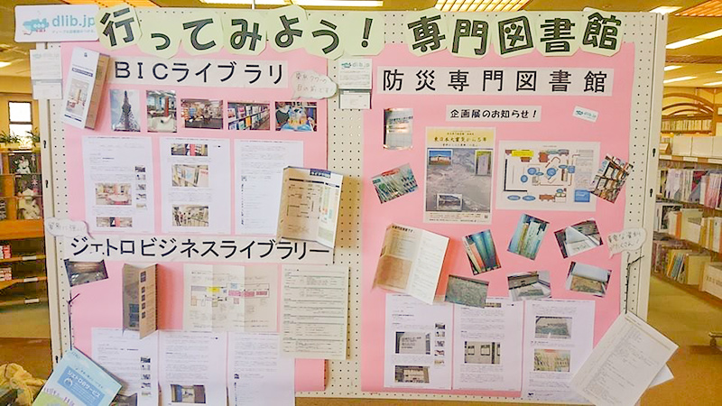 展示の様子