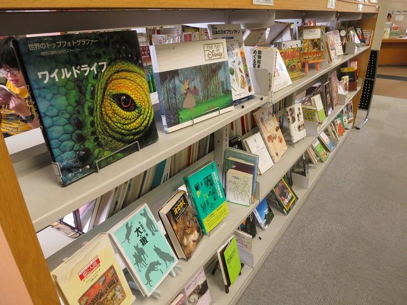 和光大学附属梅根記念図書 情報館 生物本棚 Jcross ジェイクロス 和光大学附属梅根記念図書 情報館 生物本棚 Jcross ジェイクロス